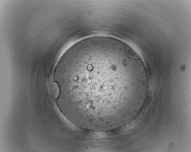 X0000093770911200710231310