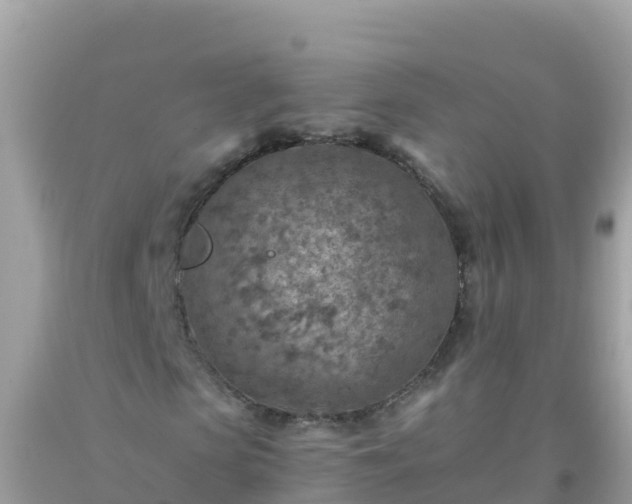 X0000093770913200710231309