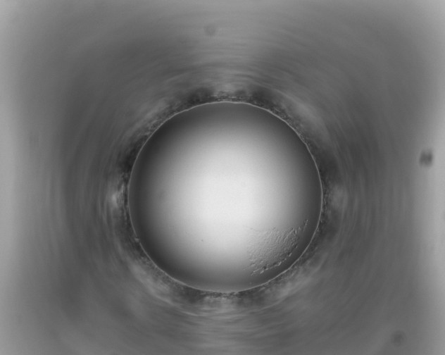 X0000093770914200710231309