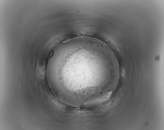 X0000093770915200710231309