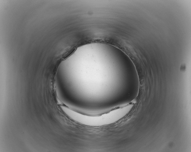 X0000093770916200710231309