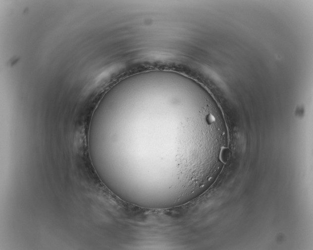 X0000093770918200710231309