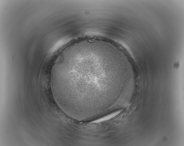 X0000093770919200710231309