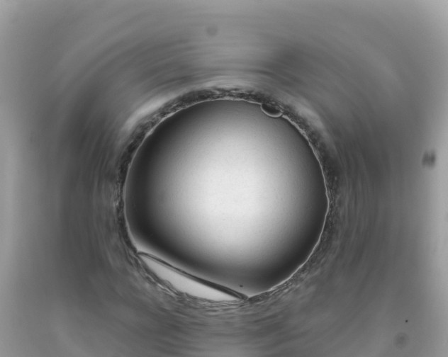 X0000093770920200710231309