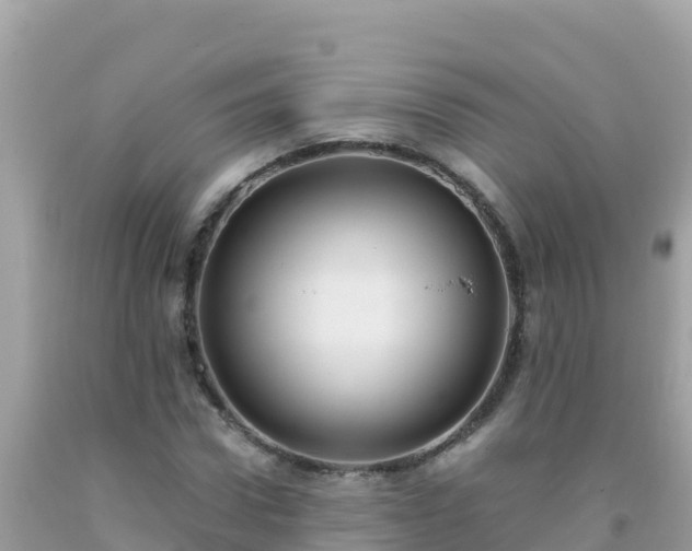 X0000093770922200710231309