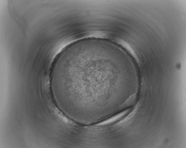 X0000093770923200710231309