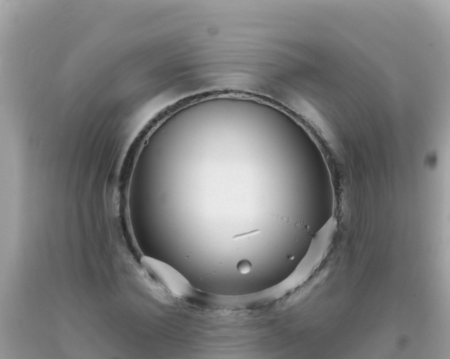 X0000093770924200710231309