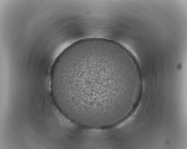 X0000093770925200710231309