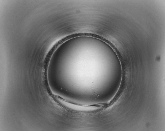 X0000093770926200710231309