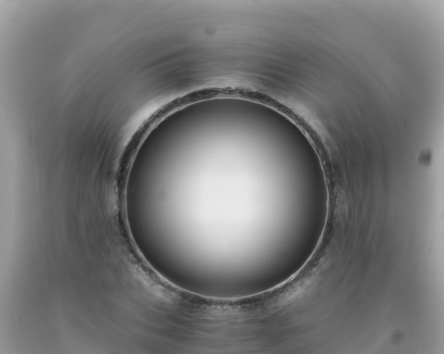 X0000093770927200710231309