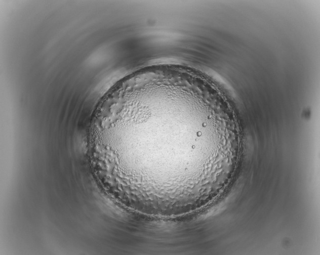 X0000093770929200710231309