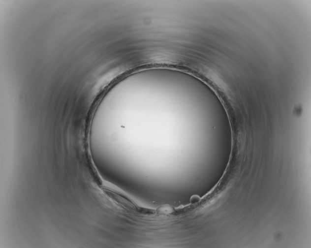 X0000093770930200710231309