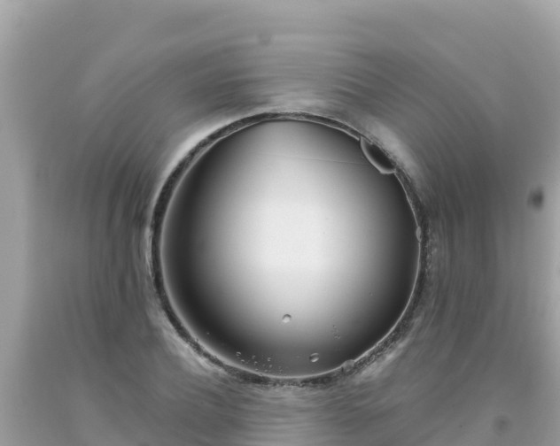 X0000093770932200710231309