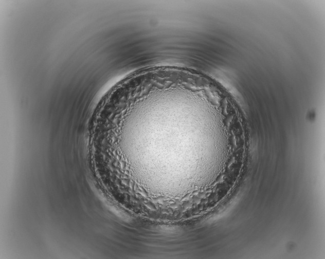 X0000093770933200710231309