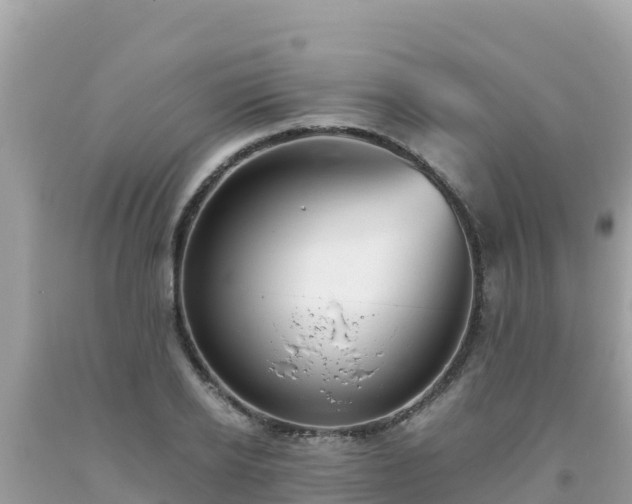 X0000093770934200710231309