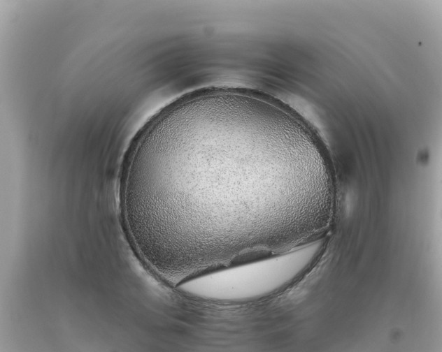 X0000093770935200710231309