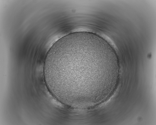 X0000093770937200710231309