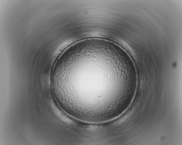 X0000093770938200710231309