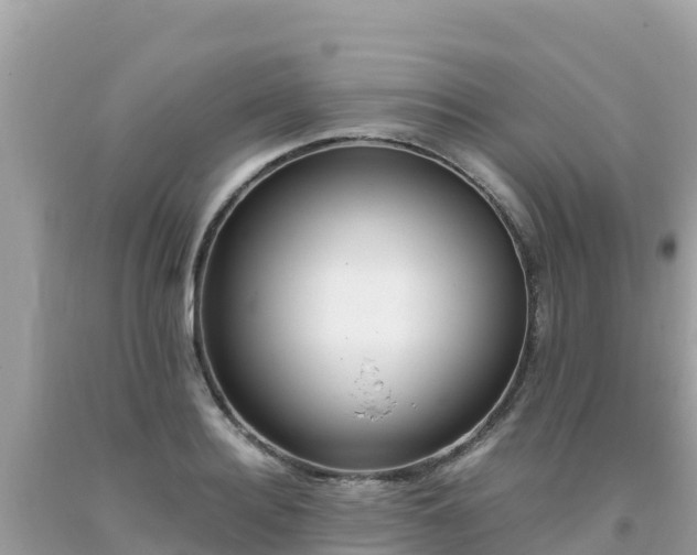 X0000093770940200710231310