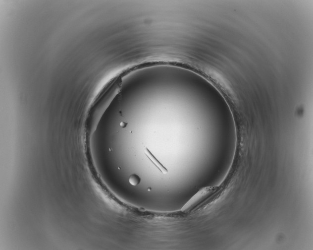 X0000093770942200710231310