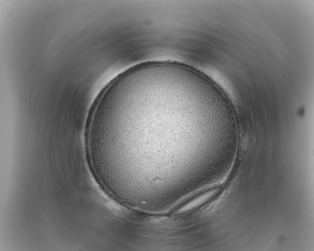 X0000093770943200710231310