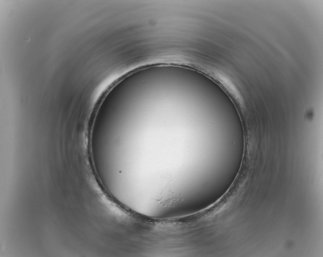 X0000093770944200710231310