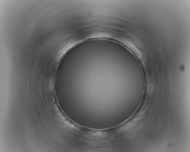 X0000093770945200710231310