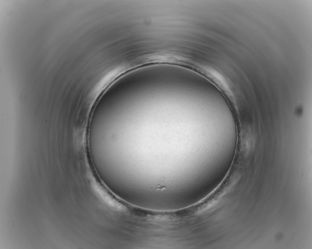 X0000093770946200710231310