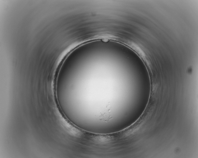 X0000093770947200710231310