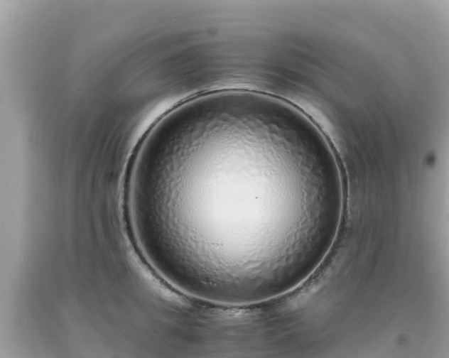 X0000093770949200710231310