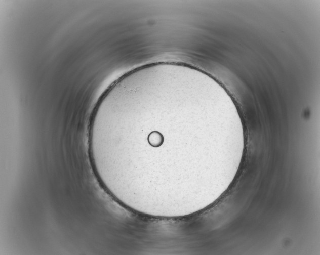 X0000093770950200710231310