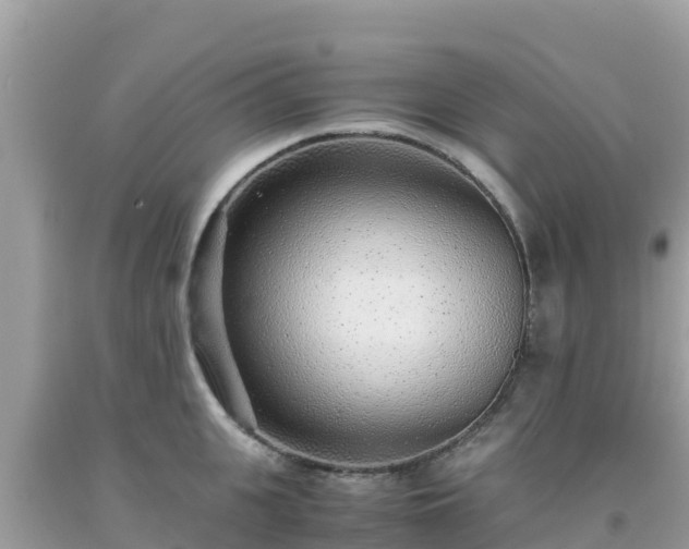 X0000093770951200710231310