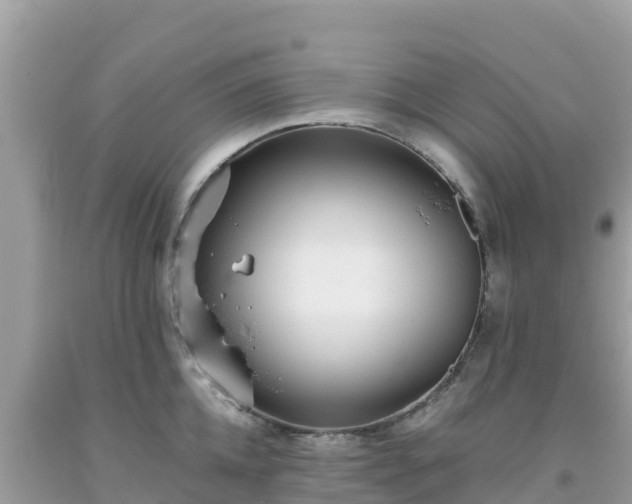 X0000093770952200710231310