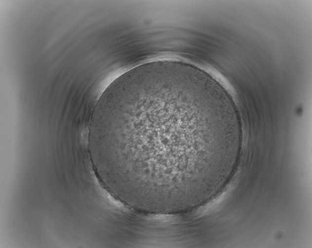 X0000093770953200710231310