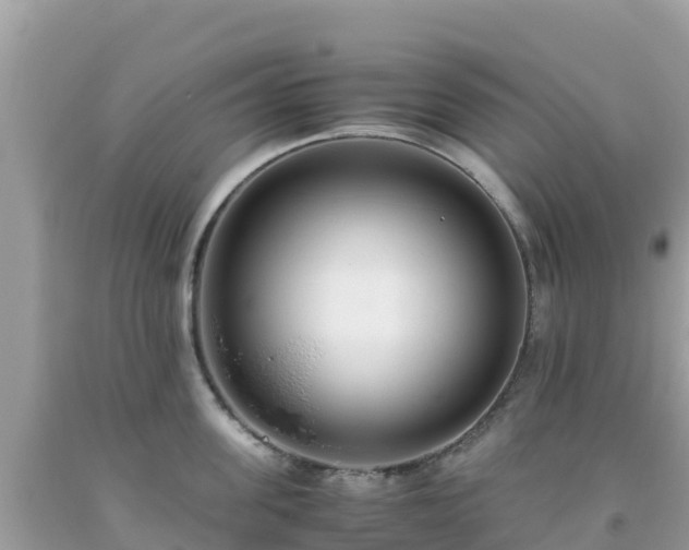 X0000093770955200710231310