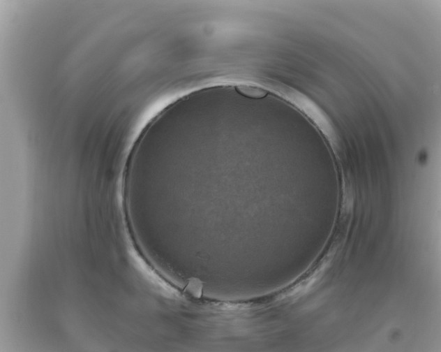 X0000093770958200710231310