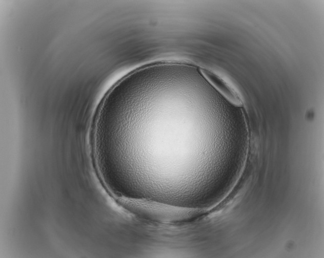 X0000093770959200710231310