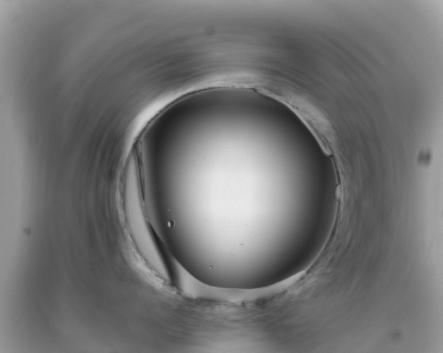 X0000093770960200710231310