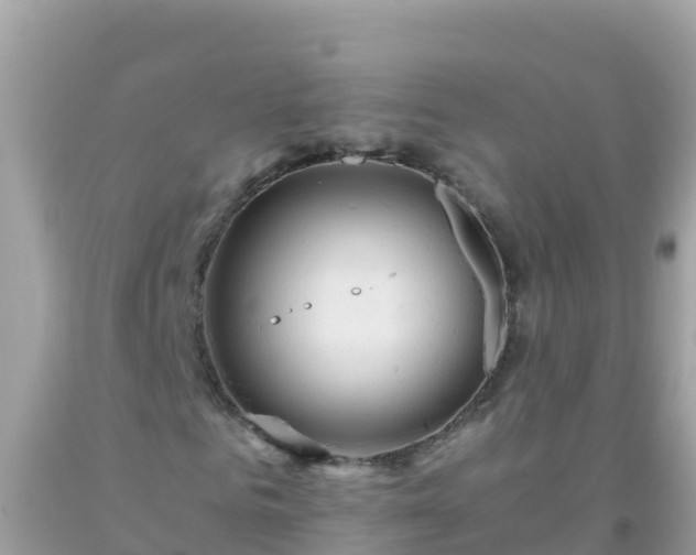 X0000093770961200710231309