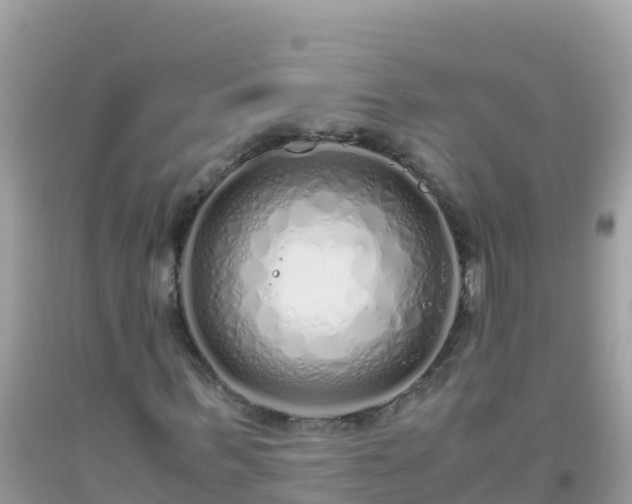 X0000093770963200710231309