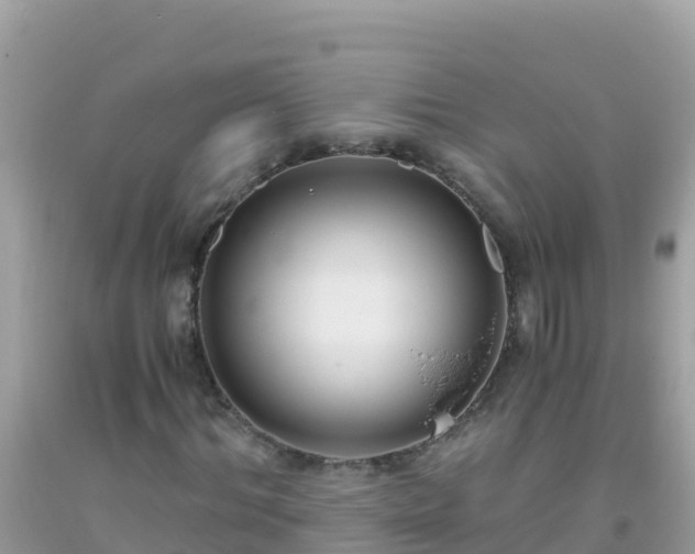 X0000093770964200710231309