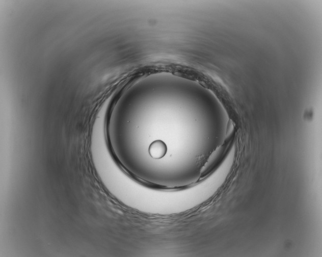 X0000093770965200710231309