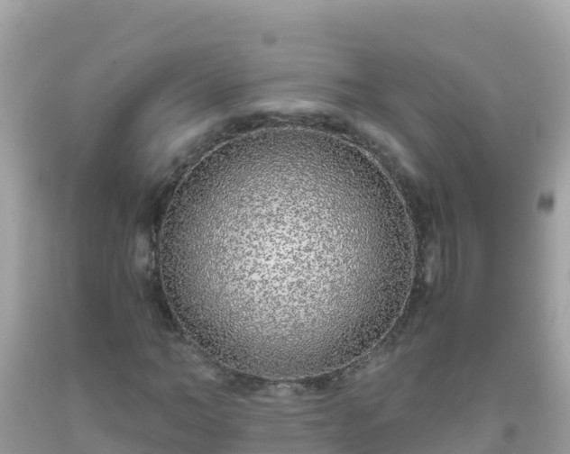 X0000093770966200710231309