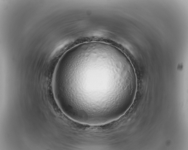 X0000093770967200710231309