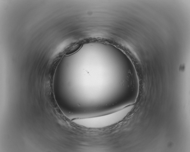 X0000093770968200710231309