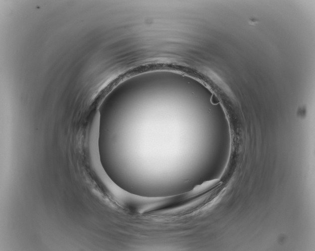 X0000093770969200710231309