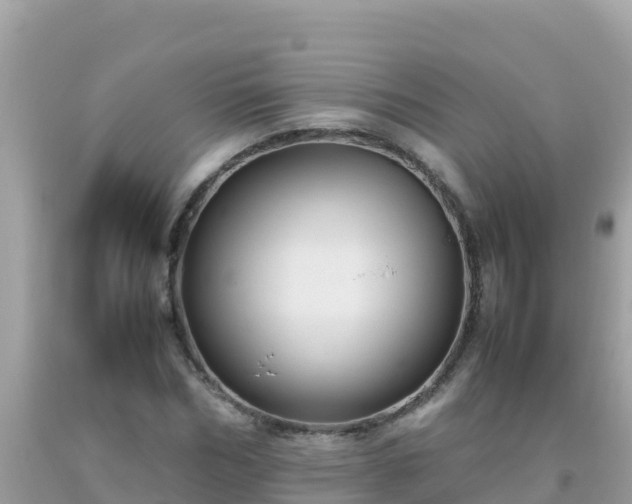 X0000093770970200710231309