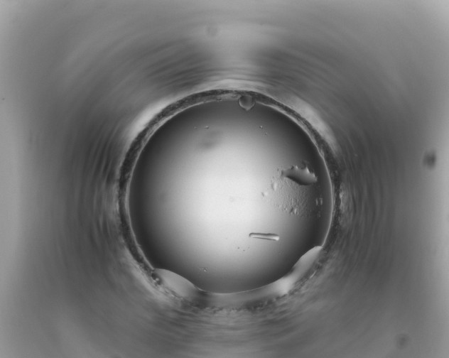 X0000093770972200710231309