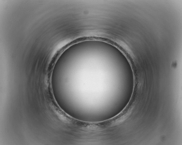 X0000093770974200710231309