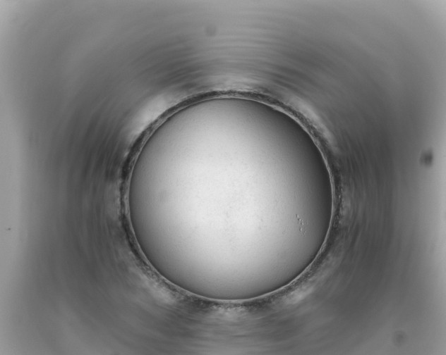 X0000093770978200710231309